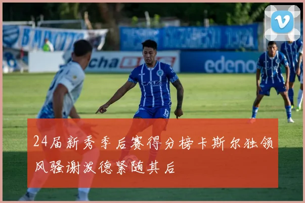24届新秀季后赛得分榜卡斯尔独领风骚谢泼德紧随其后